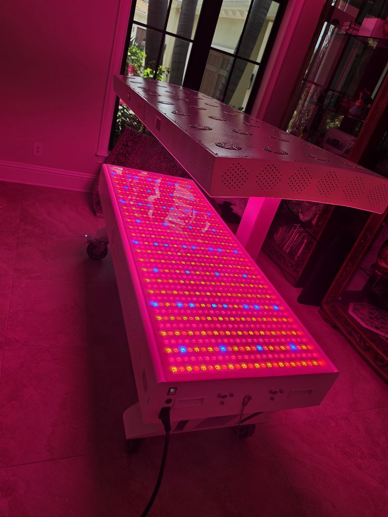 Prestige Pro Modular 9-Wavelength Red Light Therapy Bed — Walter, St. Petersburg, FL